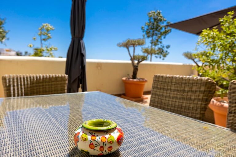 TERRASSE CISNE 4